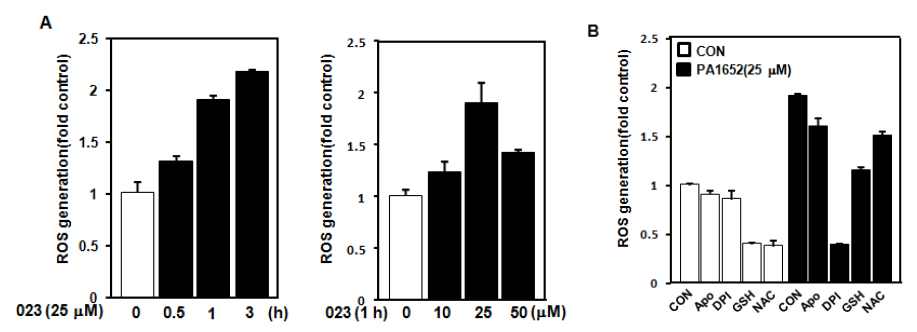 PA1652에 의한 ROS의 발생
