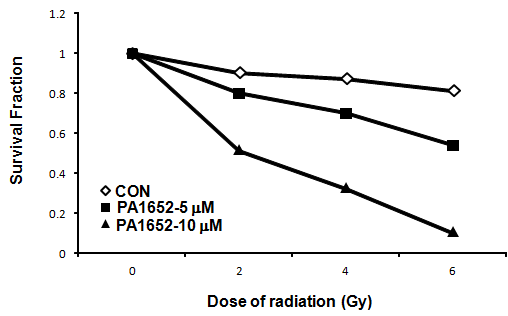 PA1652와 방사선에 병용 처리에 따른 세포생존 그래프