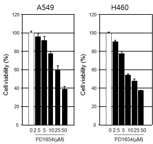 PD1654에 의한 비소세포폐암 세포주의 생존율 변화