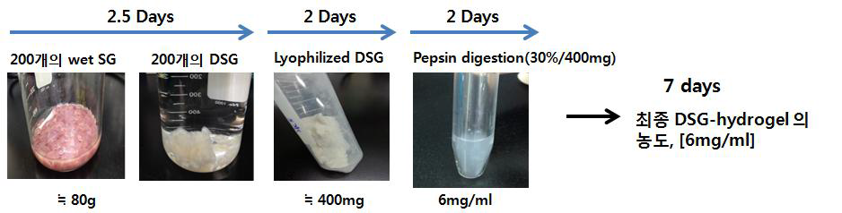 DSG-hydrogel의 대량 생산 과정 및 생산 효율