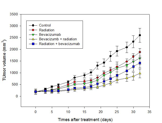 마우스 간암 세포주를 이식한 후, 방사선과 bevacizumab 병합 치료시의 종양 성장 지연 분석