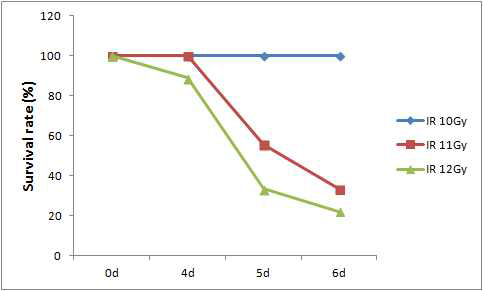 피폭 선량별 생존율 분석