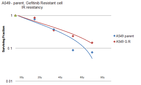 모세포 대비 gefitinib 저항성 세포주의 방사선 조사 후 clonogenic assay