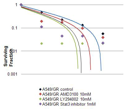 A549/GR 세포에서 각종 kinase 저해제 전처리 후 방사선 조사에 의한 clonogenic survival 측정