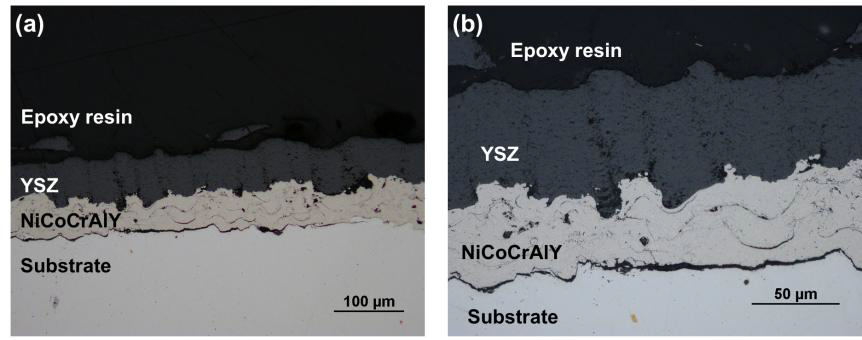 NiCoCrAlY 본드 코팅 위에 형성된 VSPS YSZ 코팅 층의 광학 현미경 조직