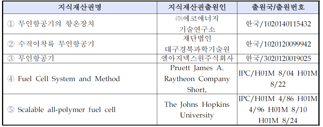 국내·외 관련지식재산권 현황