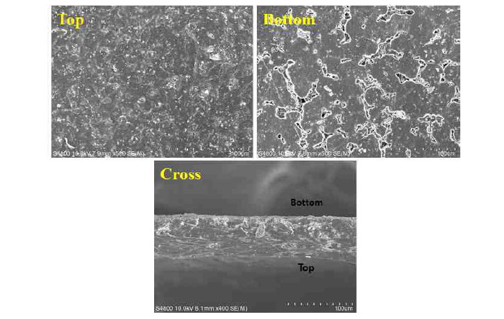 복합 폴리머 멤브레인 상온건조에 따른 FE-SEM 이미지