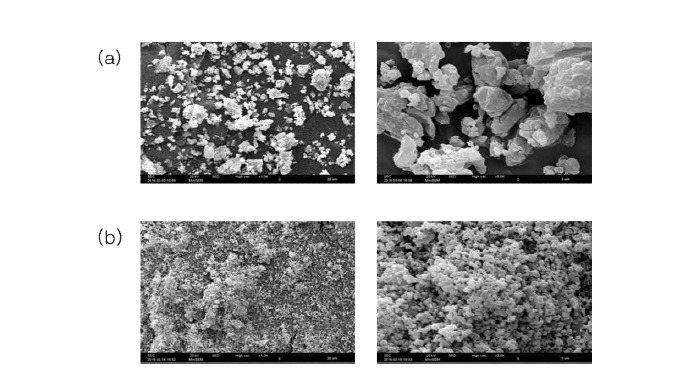 열처리 후 고체전해질의 볼밀 전 후 표면 형상 (a)열처리 후 볼밀링 전, (b)열처리 후 볼밀링 후