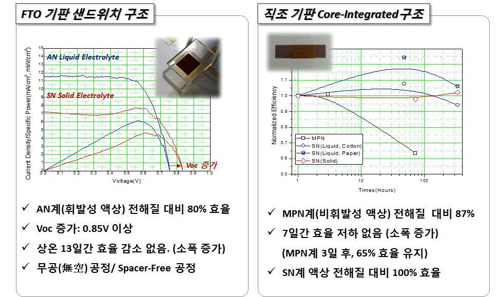 SN계 고체전해질 태양전지의 특성