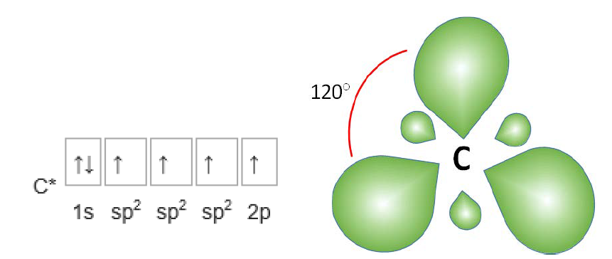 3개의 sp 혼성궤도를 갖는 탄소워자의 전자배치 및 궤도 모형