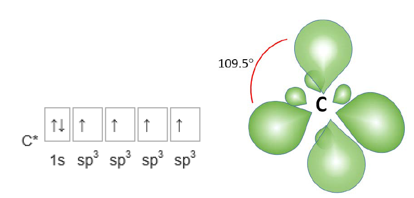 4개의 sp 혼성궤도를 갖는 탄소원자의 전자배치 및 궤도 모형