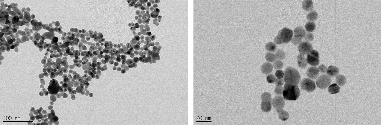 생성된 Ag 나노입자의 TEM 사진