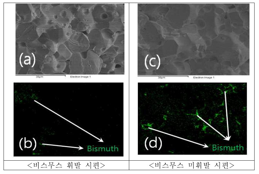 비스무스 휘발의 미세구조 및 EDX Mapping사진