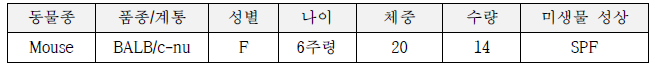 실험 동물 특성