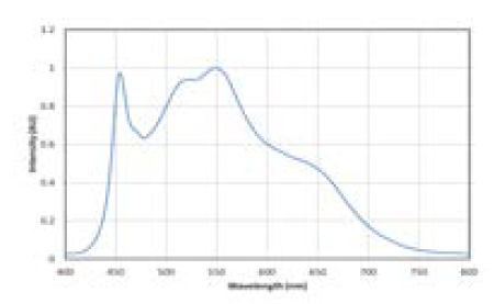 백색광 LED의 분광 스펙트럼
