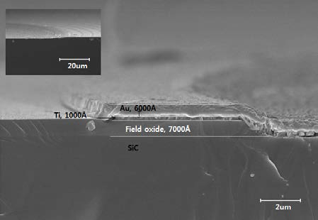 3차 PiN diode 의 단면 FE-SEM 이미지.