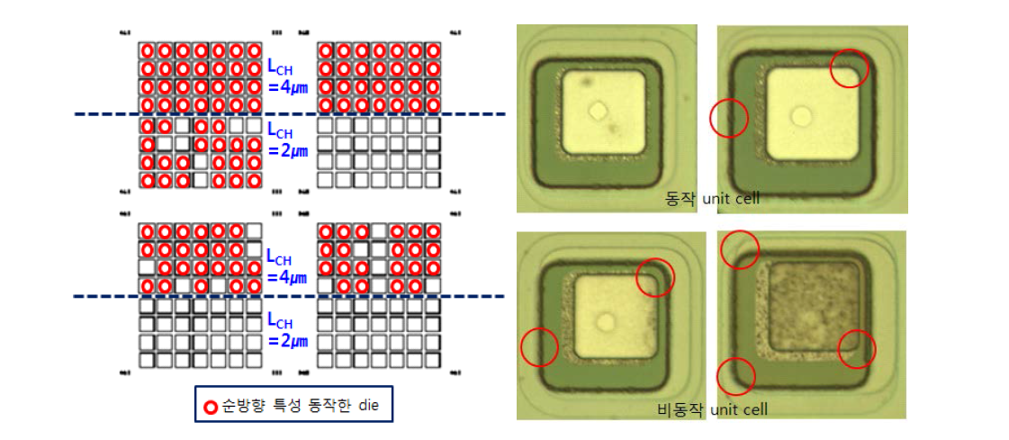 1차 MOSFET의 작동 단위 소자 및 광학현미경(OM) 이미지.