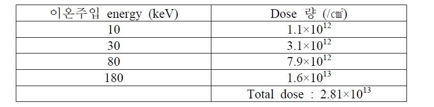 이온주입 조건