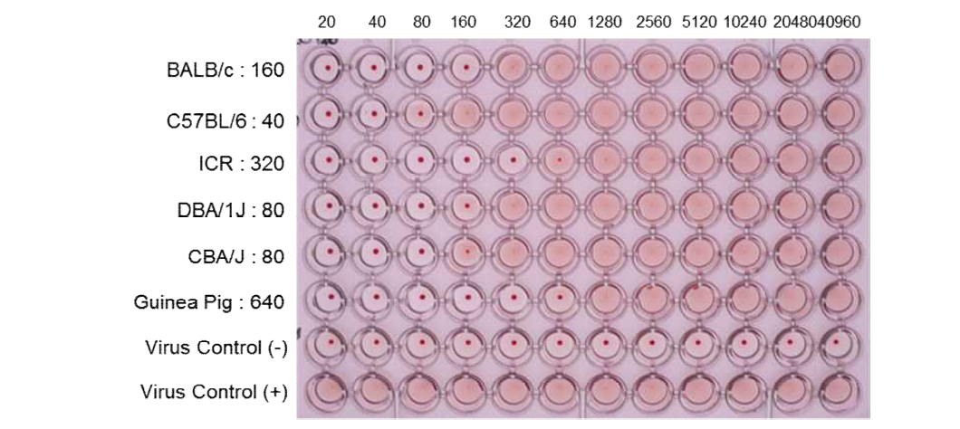 wtB/WI01 바이러스에 대한 항체의 HI test 결과