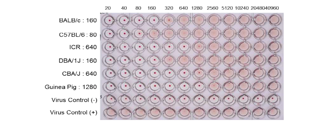 wtB/BR60 바이러스에 대한 항체의 HI test 결과