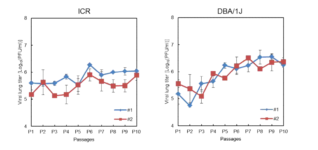 wtB/WI01 바이러스의 감염계대에 따른 폐 바이러스 역가 분석