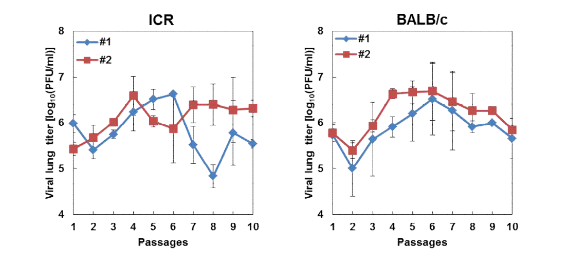 wtB/BR60 바이러스의 감염계대에 따른 폐 바이러스 역가 분석