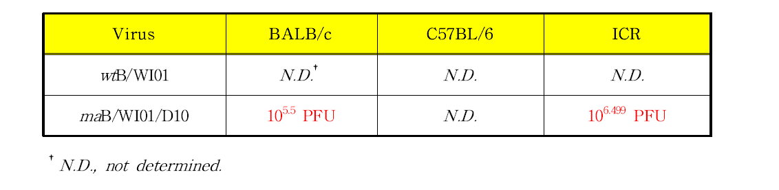 maB/WI01/D10 바이러스의 최종 MLD50 분석 결과