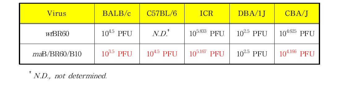 maB/BR60/B10 바이러스의 최종 MLD50 분석 결과