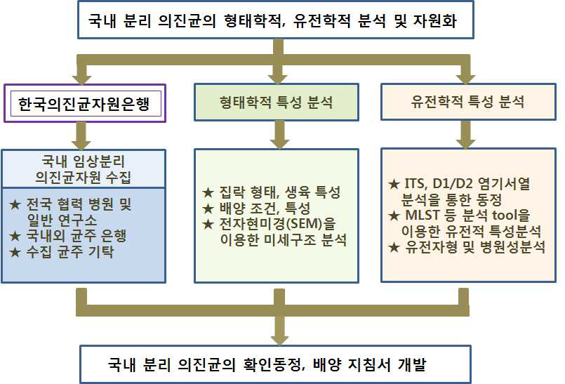 연구 수행 전략 흐름도