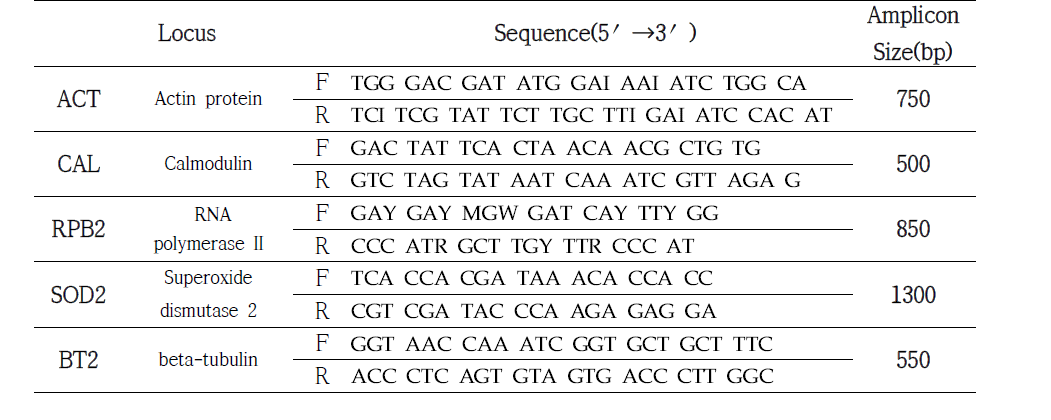 Specific primers used for Trichophyton rubrum MLST.