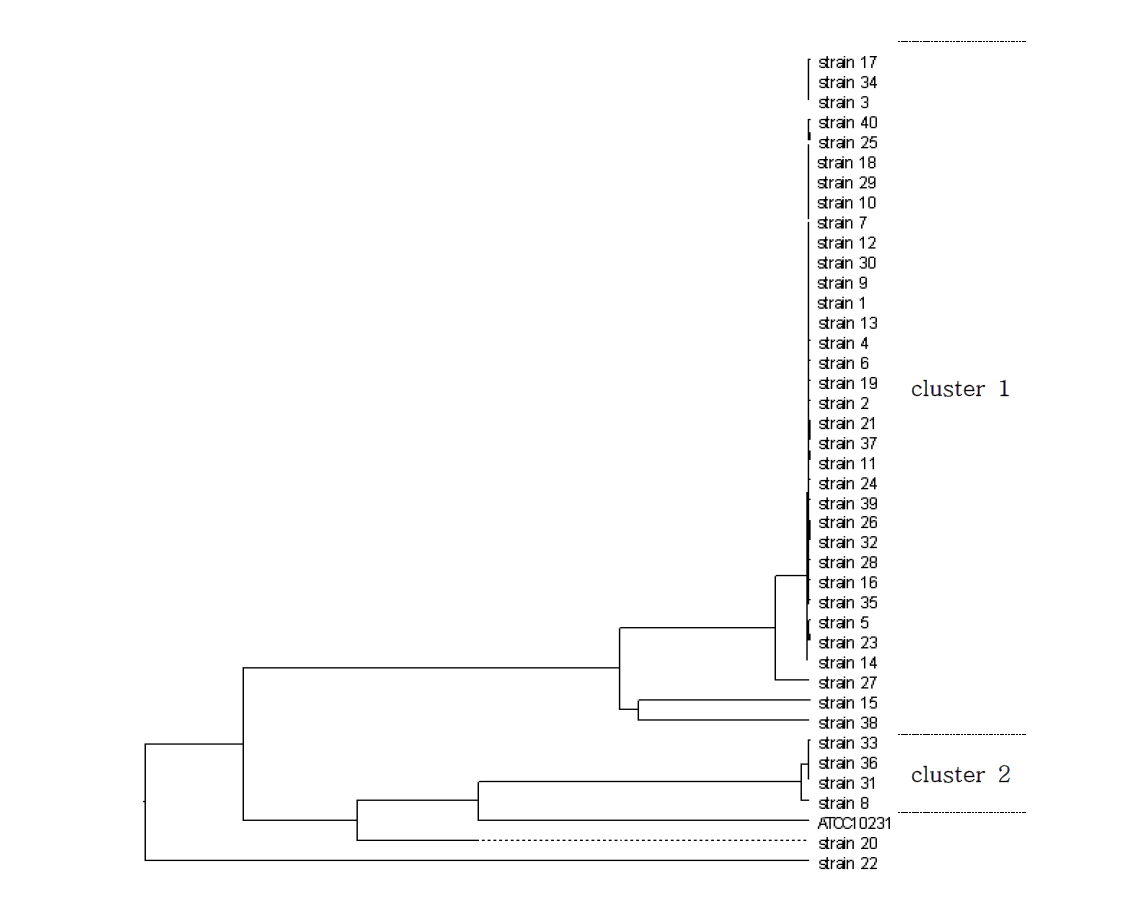 Phylogenetic tree analysis of Candida albicans clinical isolates.