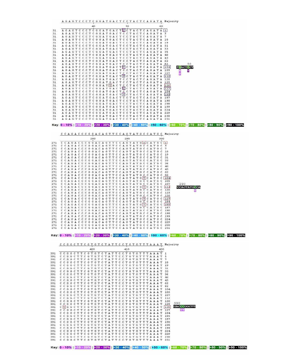 Nucleotide substitutions of ANXC4 gene