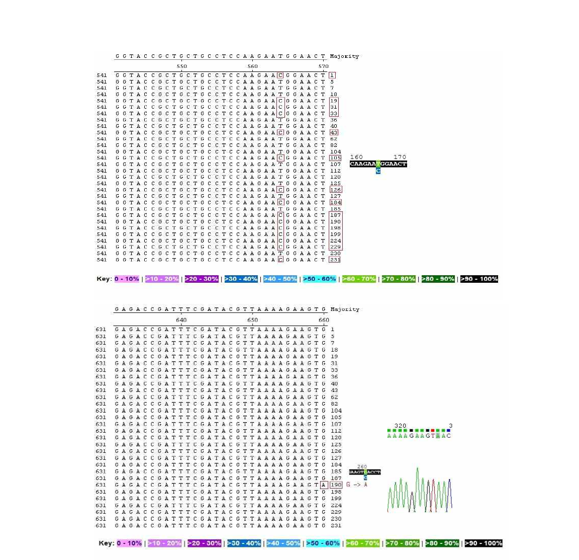 Nucleotide substitutions of BGT1 gene. The nucleotide of the 261 – position has been substituted by A in G.