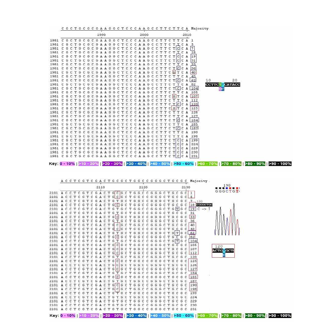 Nucleotide substitutions of MAT1-2 gene. The nucleotide of the 136 – position has been substituted by T in C.