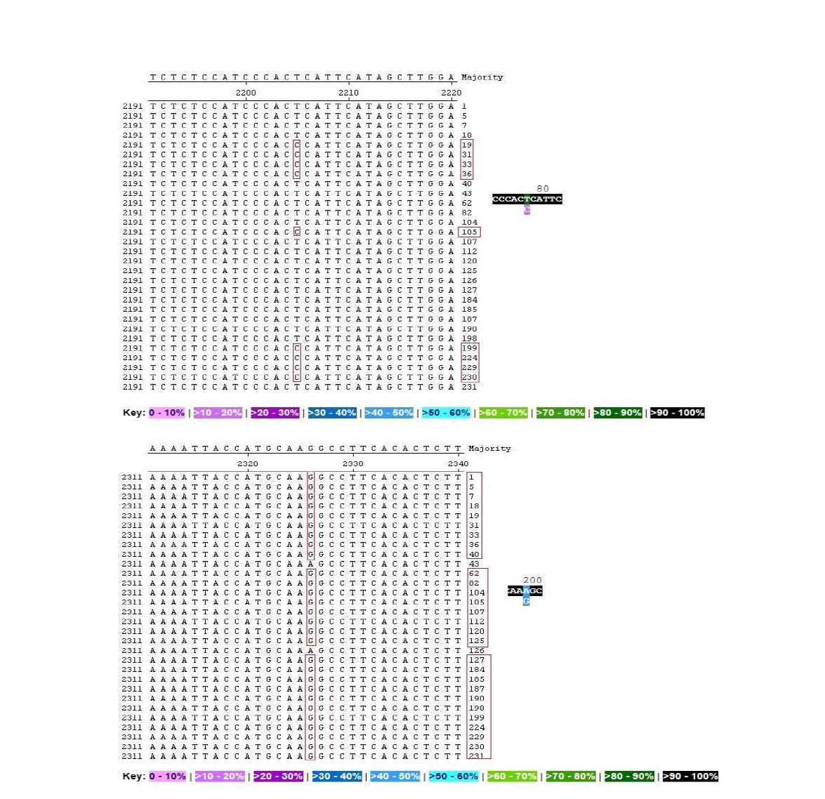 Nucleotide substitutions of ZRF2 gene