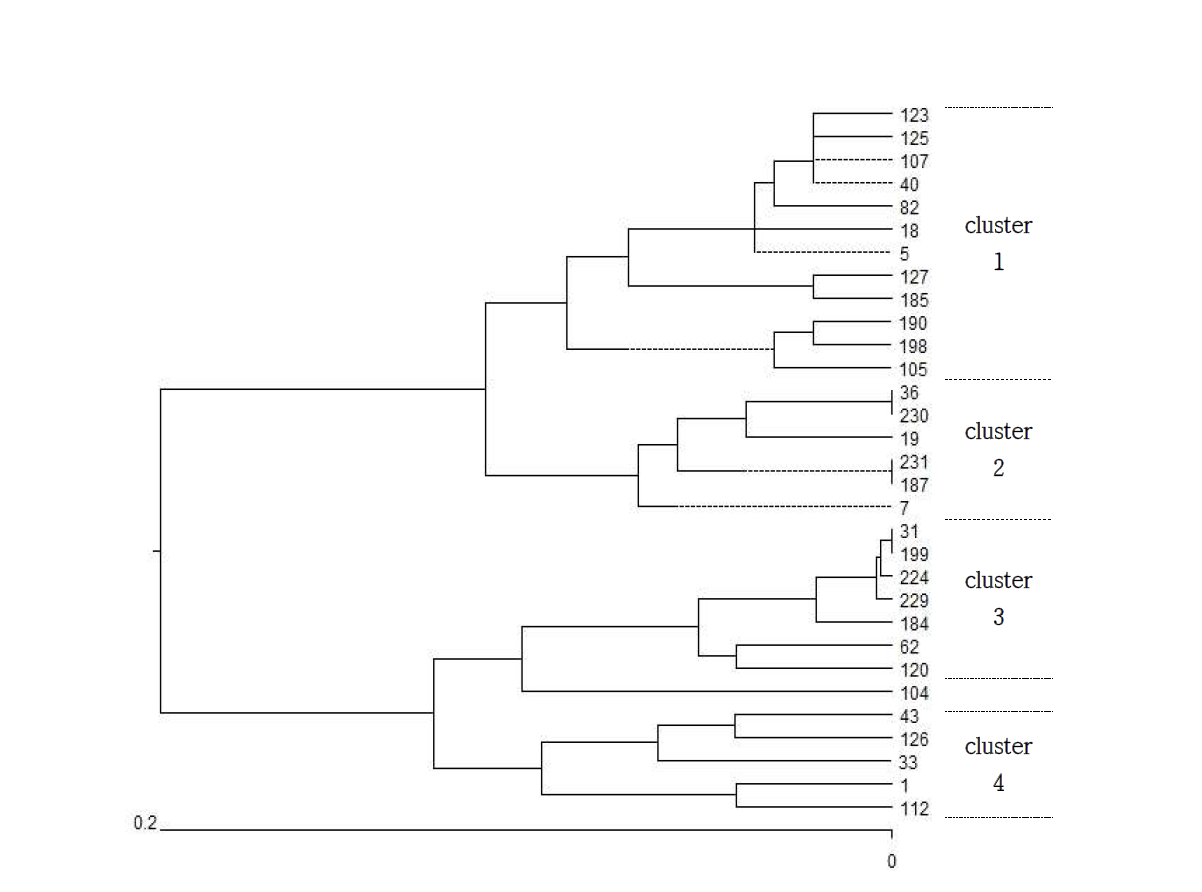 Phylogenetic analysis of Aspergillus fumigatus isolates. Clusters were delineated with a cut-off value of 0.1 genetic distance.