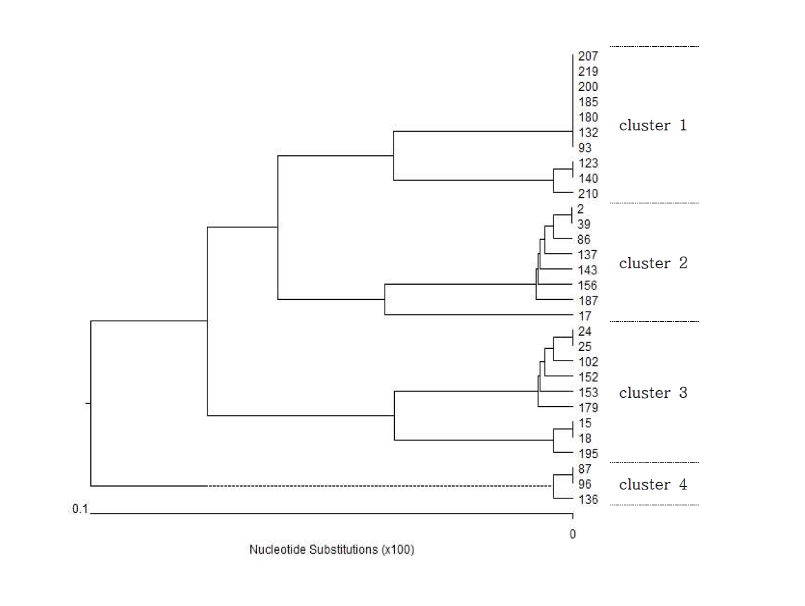 Phylogenetic tree analysis of Trichophyton rubrum clinical isolates. Clusters were delineated with a cut-off value of 0.05 genetic distance.