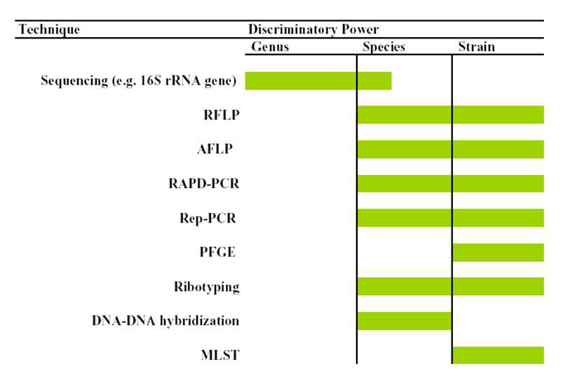 Molecular genotyping methods