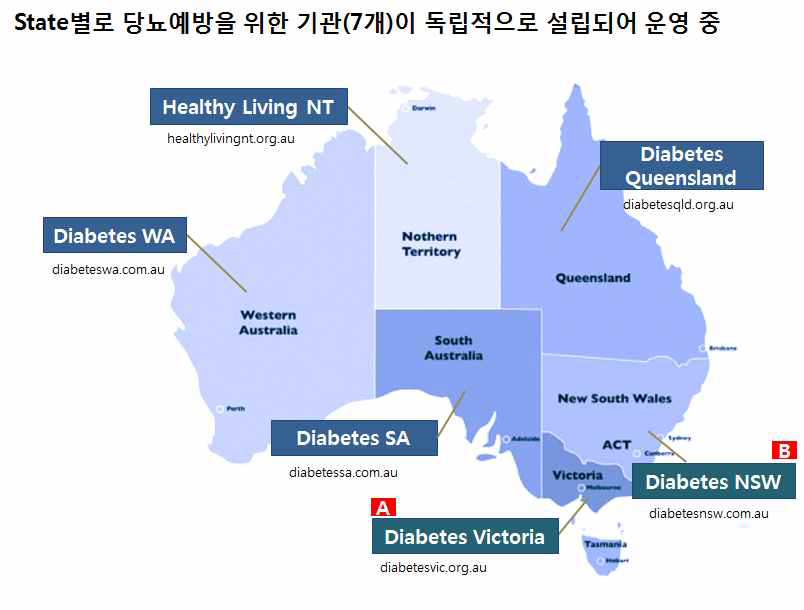호주 당뇨병 예방을 위한 기관설립 현황