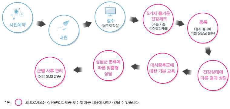 서울시 대사증후군 오락사업 프로세스