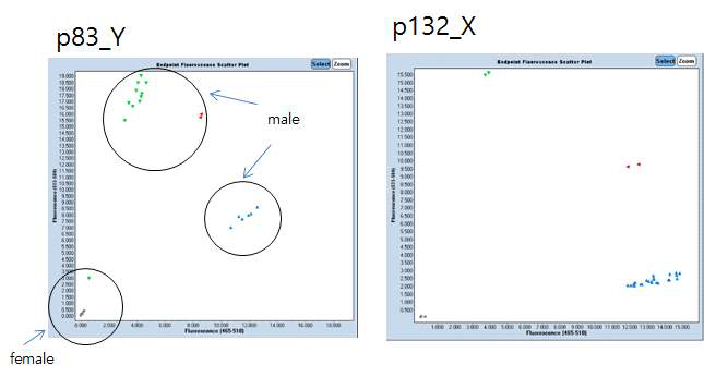 p83_Y, p132_X를 이용한 성별 확인