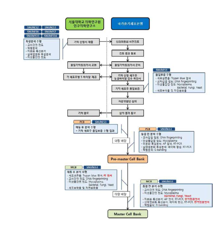 국가줄기세포은행 기반확립을 위한 연구내용 모식도