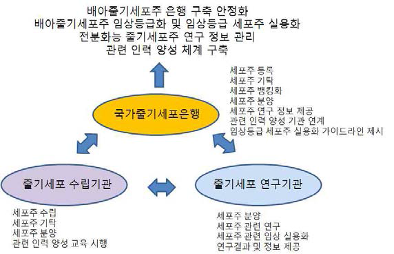 국가줄기세포은행의 전략 모식도