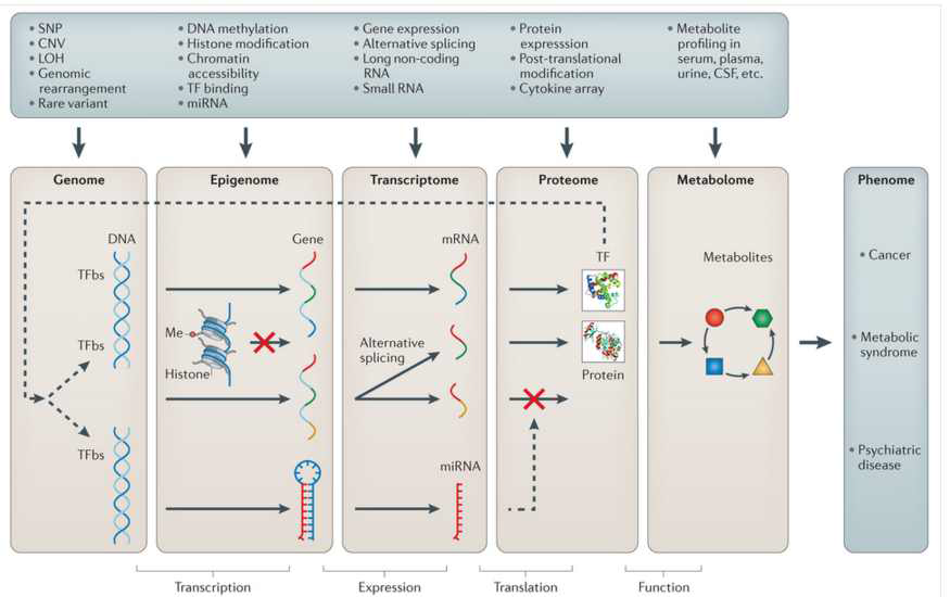 다중오믹스 연구 개관. Nature Reviews Genetics 16, 85–97 (2015)