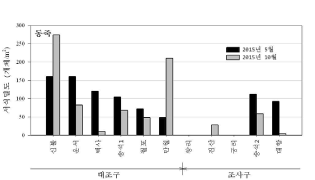 동죽 어장의 서식밀도 분포