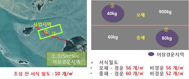 가무락 어장조성 후 종패와 모패의 서식밀도