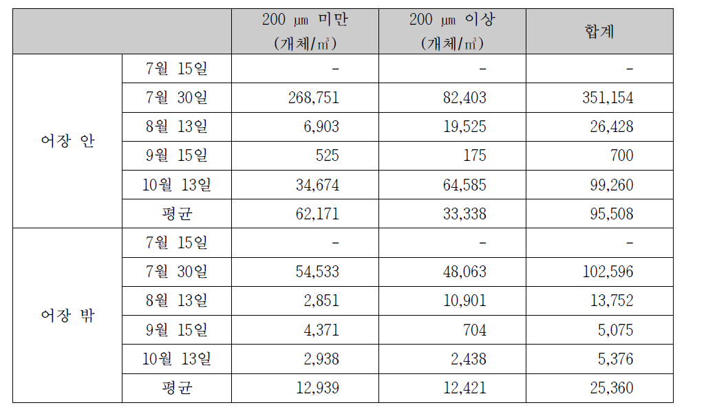 시험어장에서 동죽 유생의 출현량