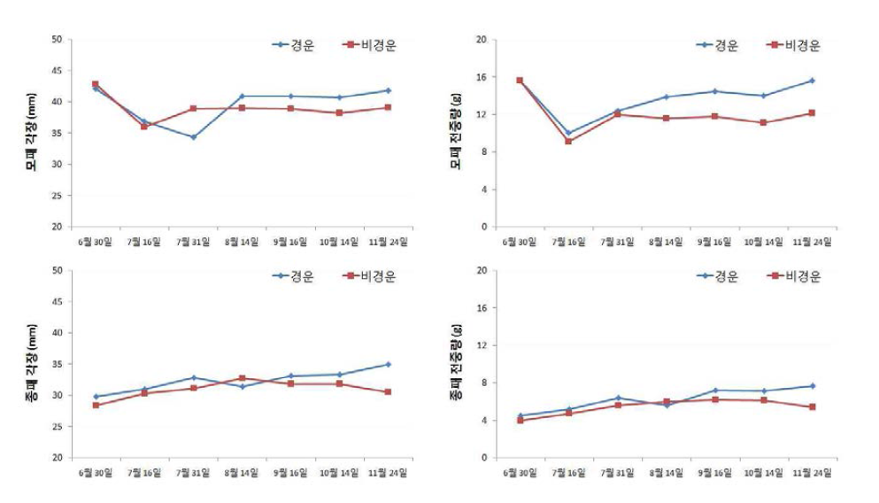 가무락 성장률