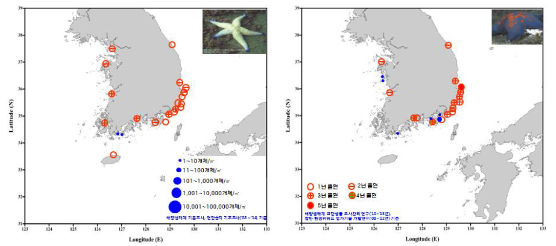 아무르불가사리(좌)와 별불가사리(우) 의 국내분포 현황