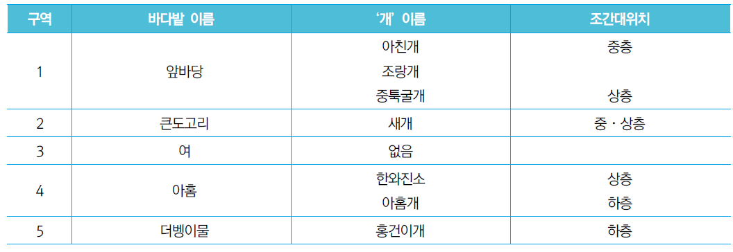 행원리 바다밭의 개와 조간대 위치